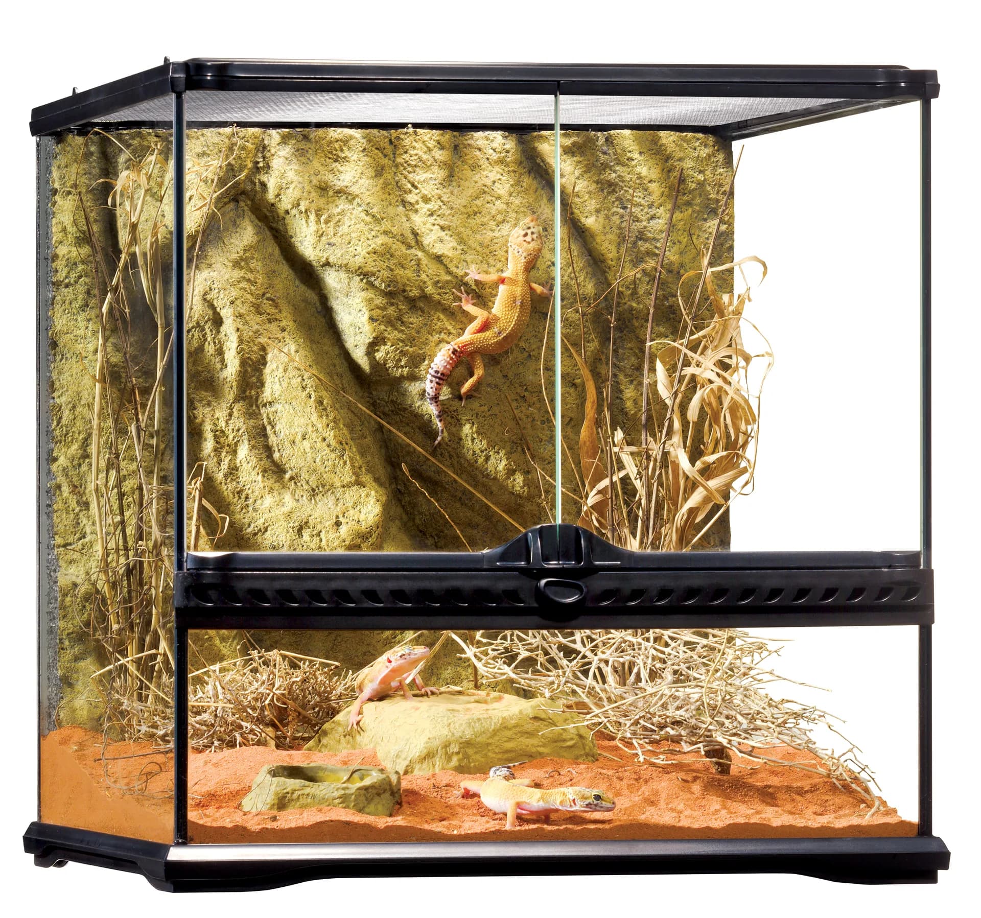 Hagen Terrarium szklane SMALL – szerokie