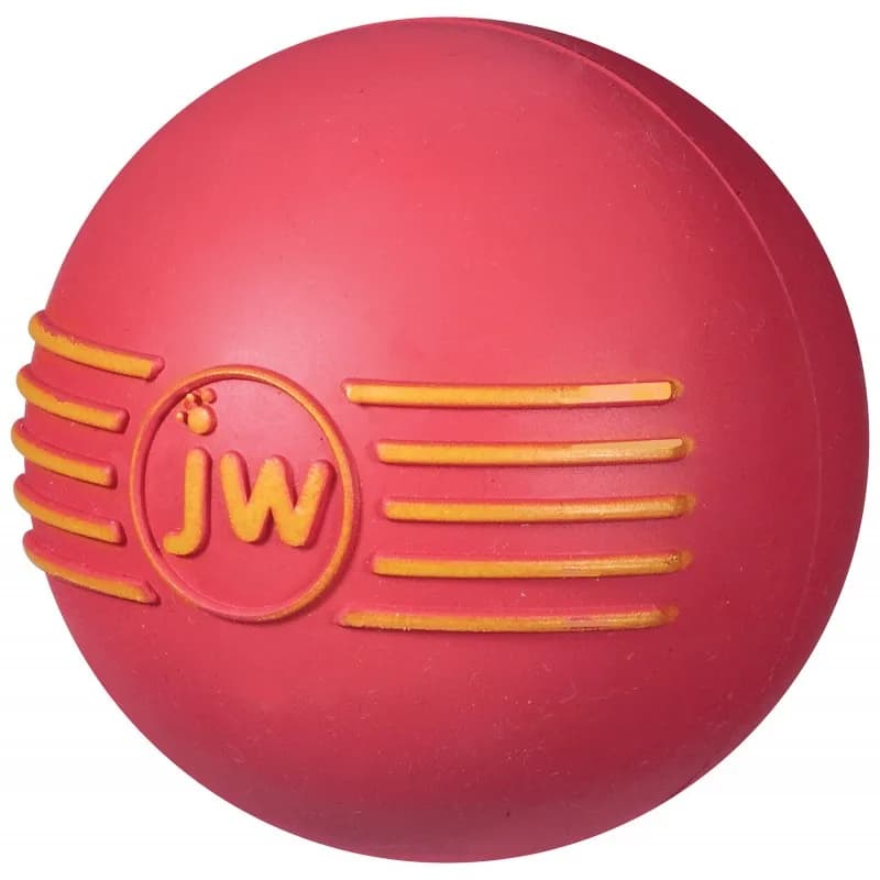JW Pet iSqueak Ball