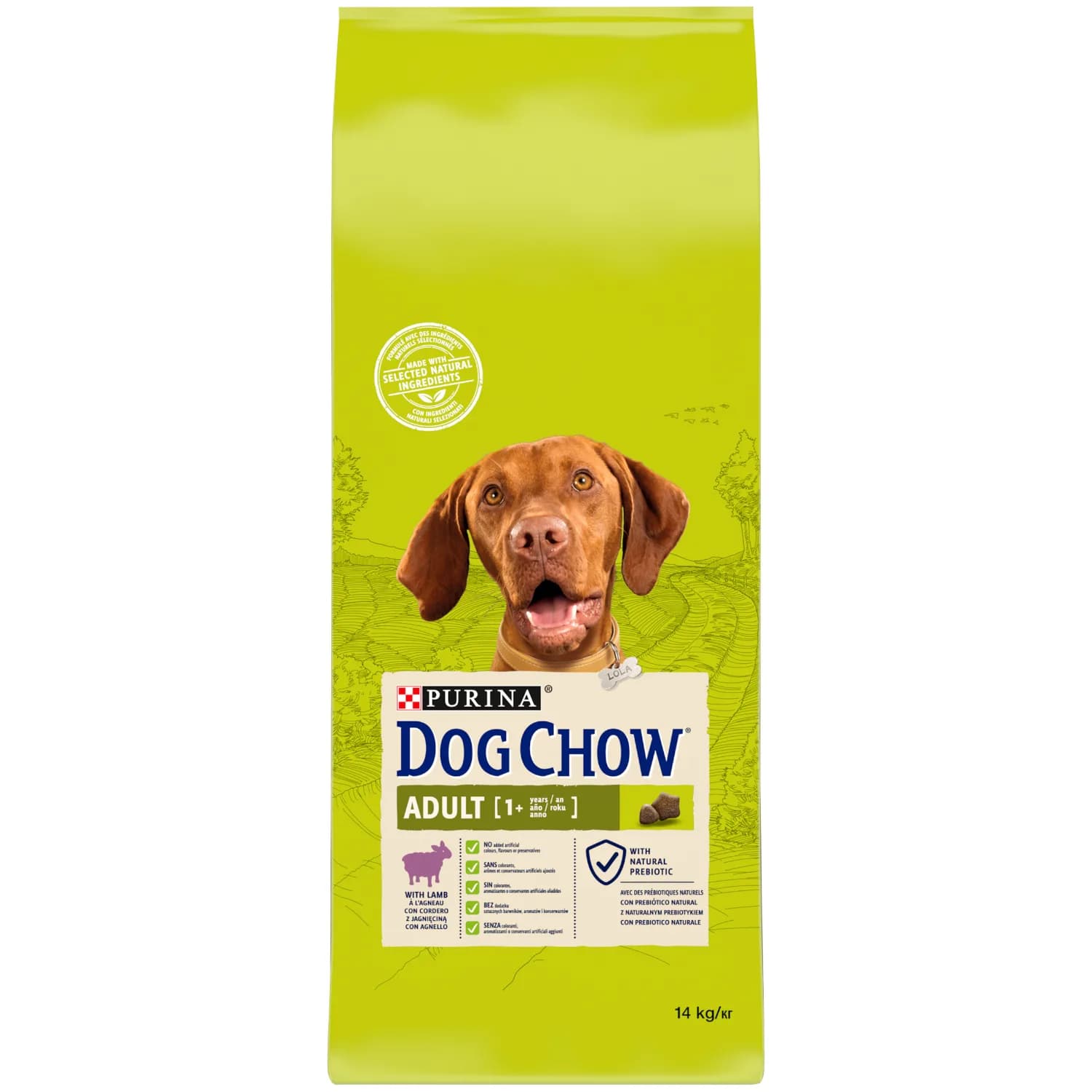 Purina DOG CHOW Adult z jagnięciną dla psa