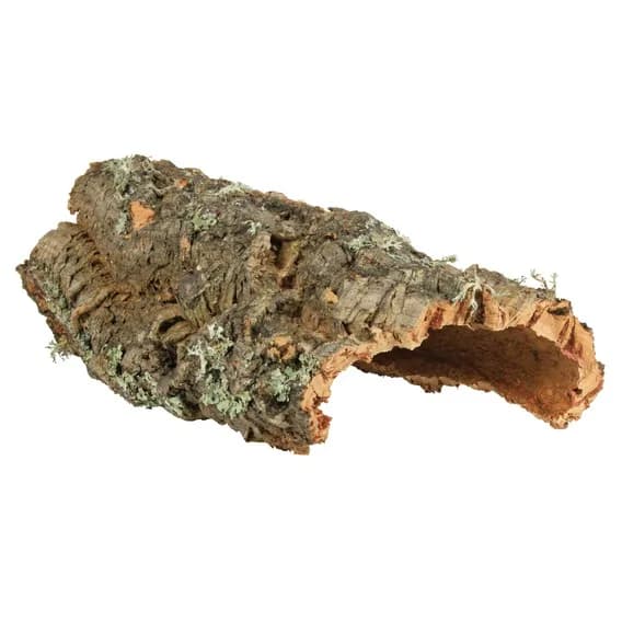 Ścianka korkowa dekoracja do terrarium L
