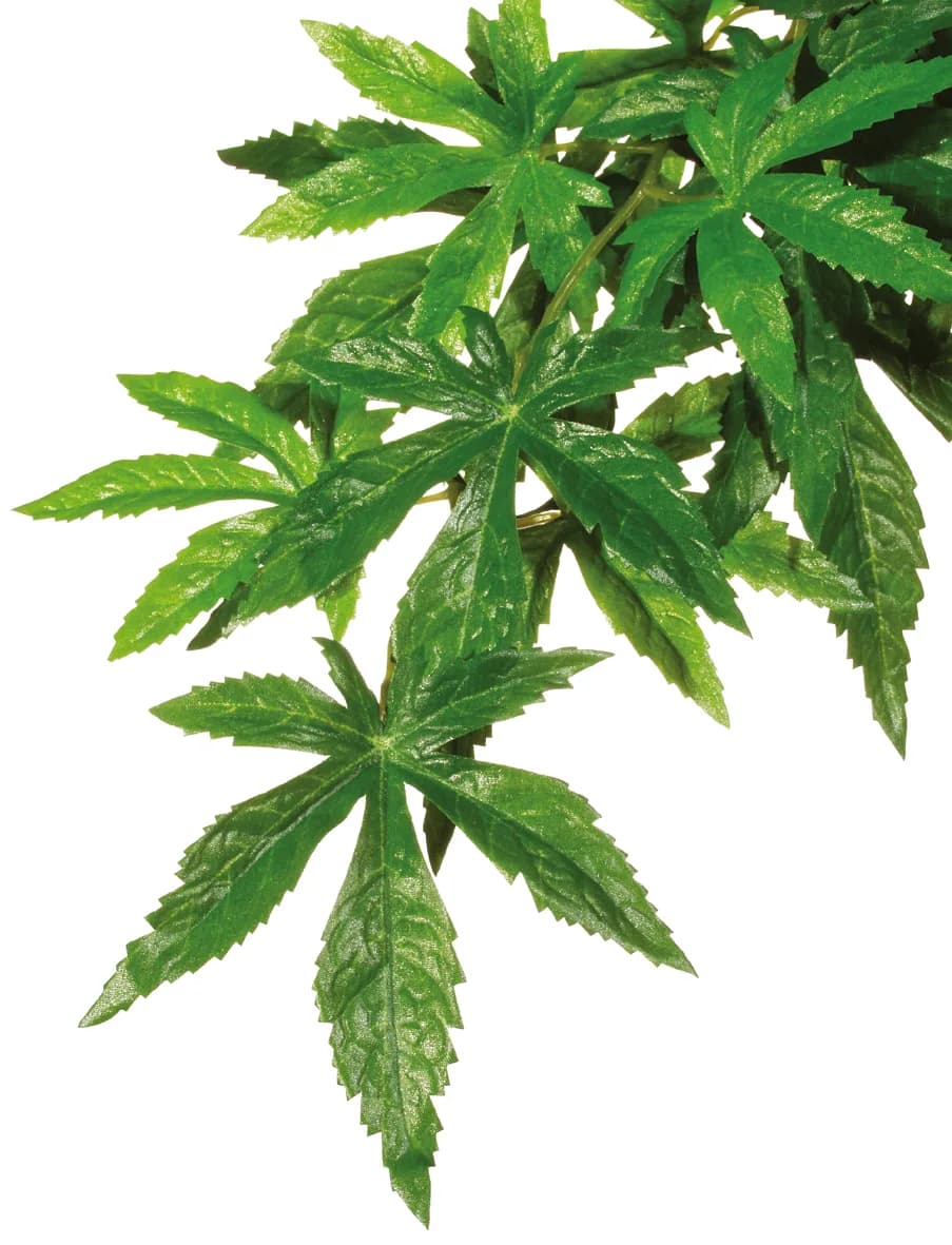 Hagen Roślina sztuczna – Silk Abutilon
