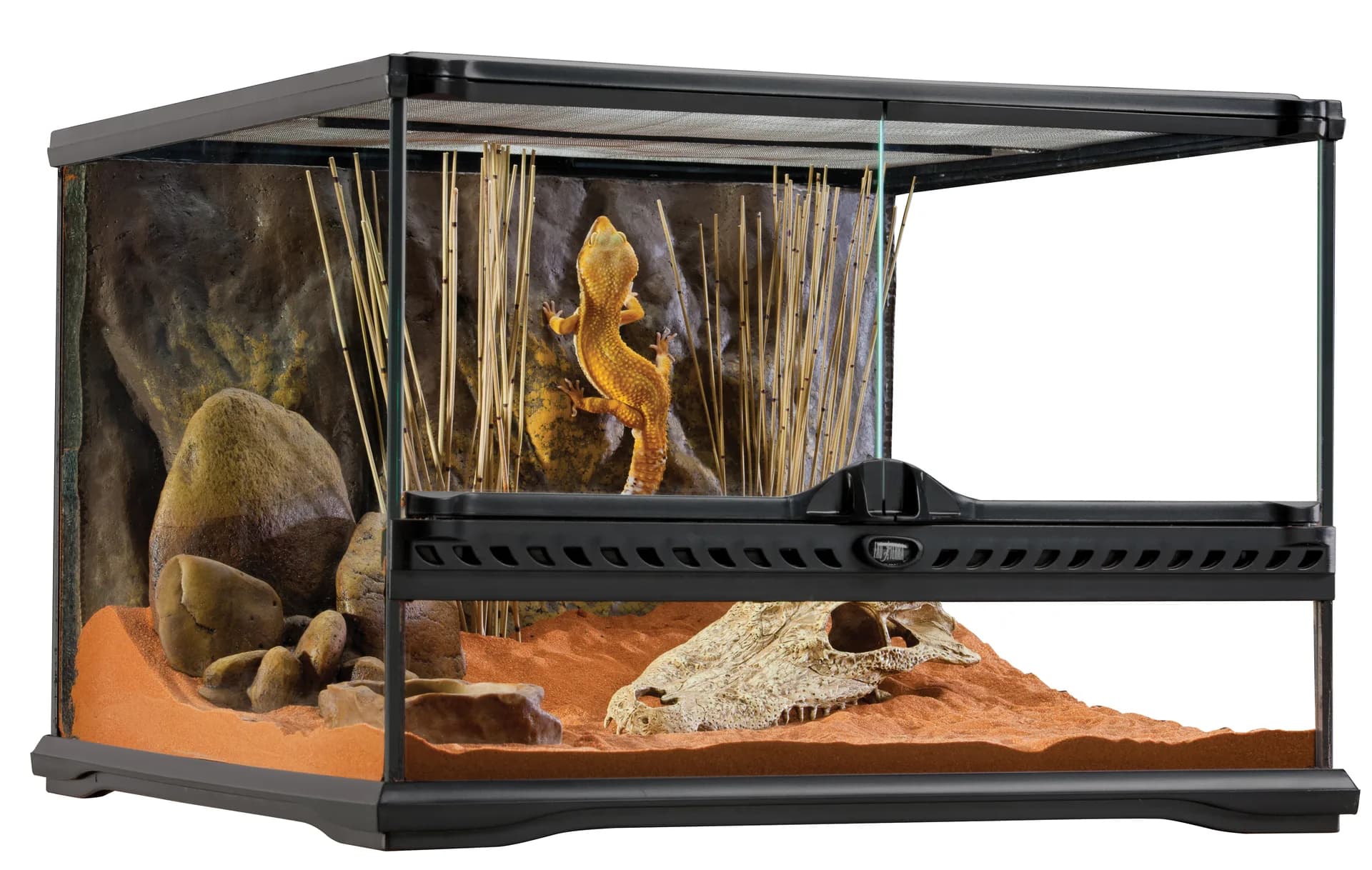 Hagen Exo Terra Gekon tygrysi, zestaw startowy - 45 × 30 × 45 cm