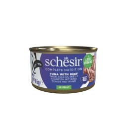 Schesir